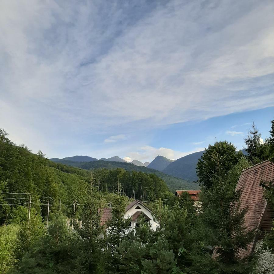 Hotel Popas Balea Rau à Cîrţişoara Extérieur photo