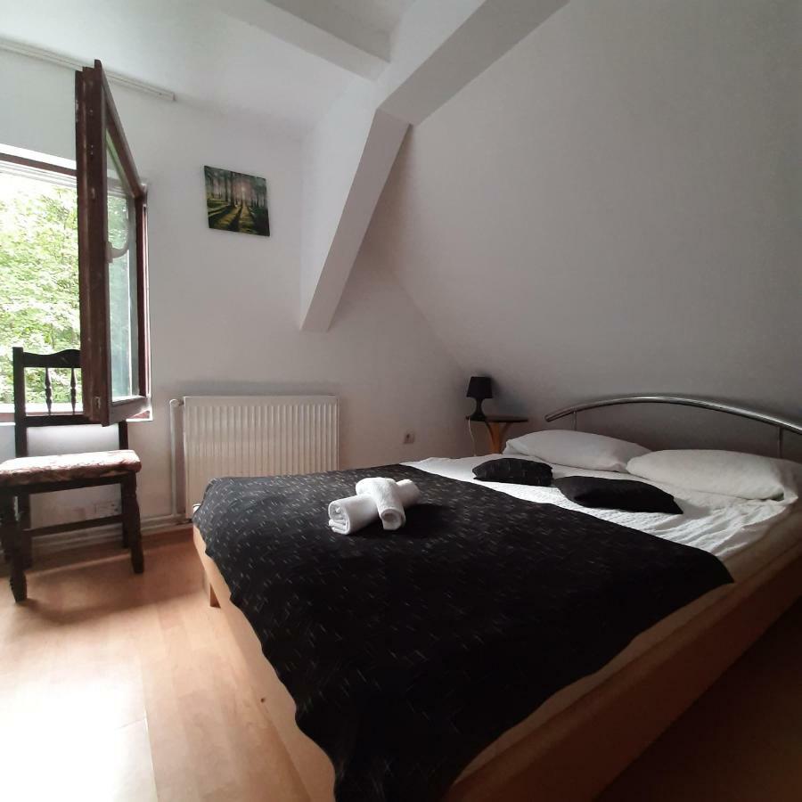 Hotel Popas Balea Rau à Cîrţişoara Extérieur photo