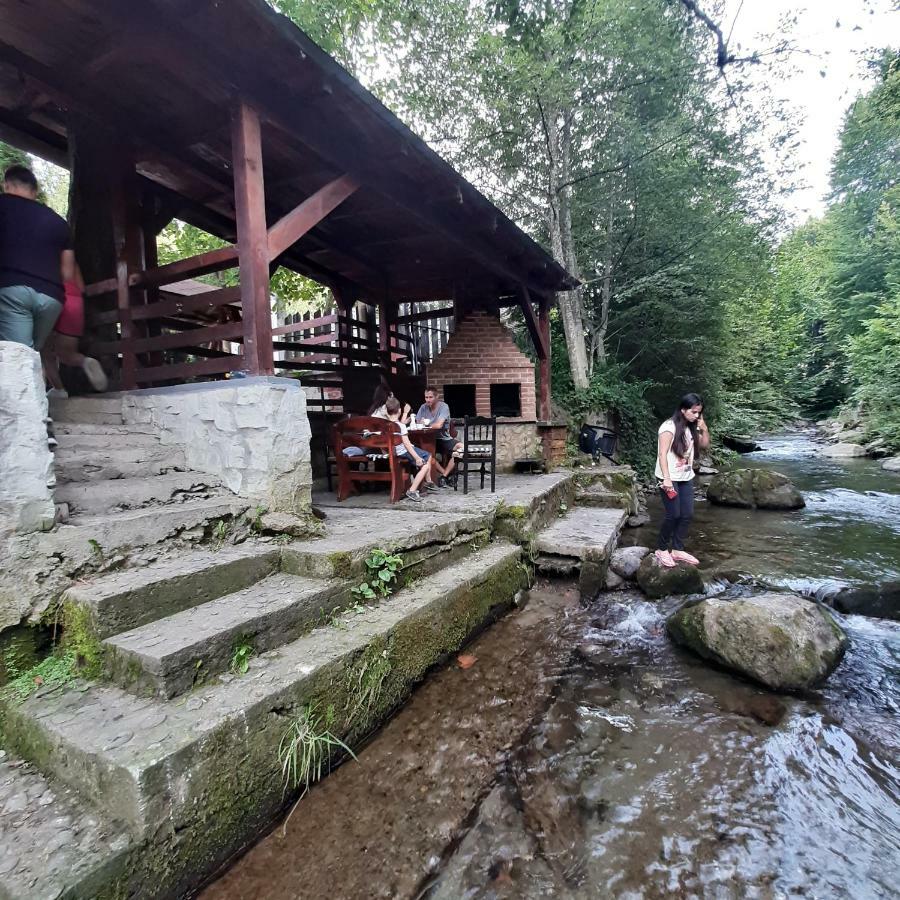 Hotel Popas Balea Rau à Cîrţişoara Extérieur photo