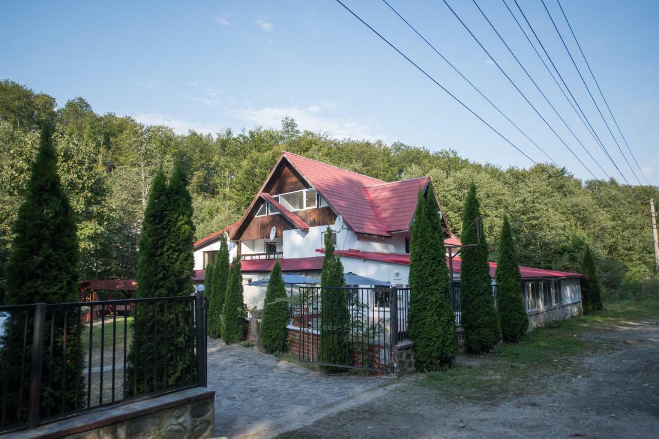 Hotel Popas Balea Rau à Cîrţişoara Extérieur photo